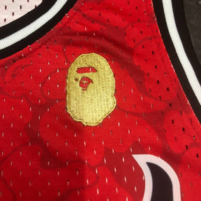Regata Miami Heat Mitchell & Ness BAPE Edition 1993